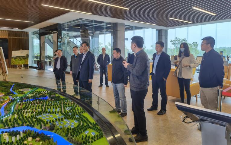 广西旅发集团党委书记、董事长容贤标考察集团文旅项目
